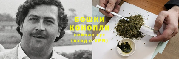 дмт Белокуриха