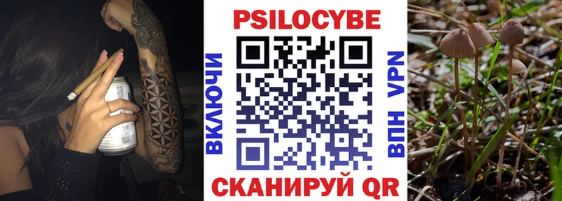 Галлюциногенные грибы прущие грибы Макаров